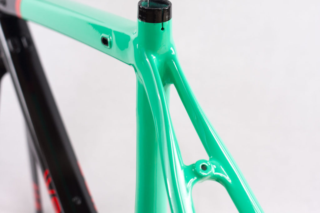Werking-cycles-Model-S-custom-carbon-frame-3