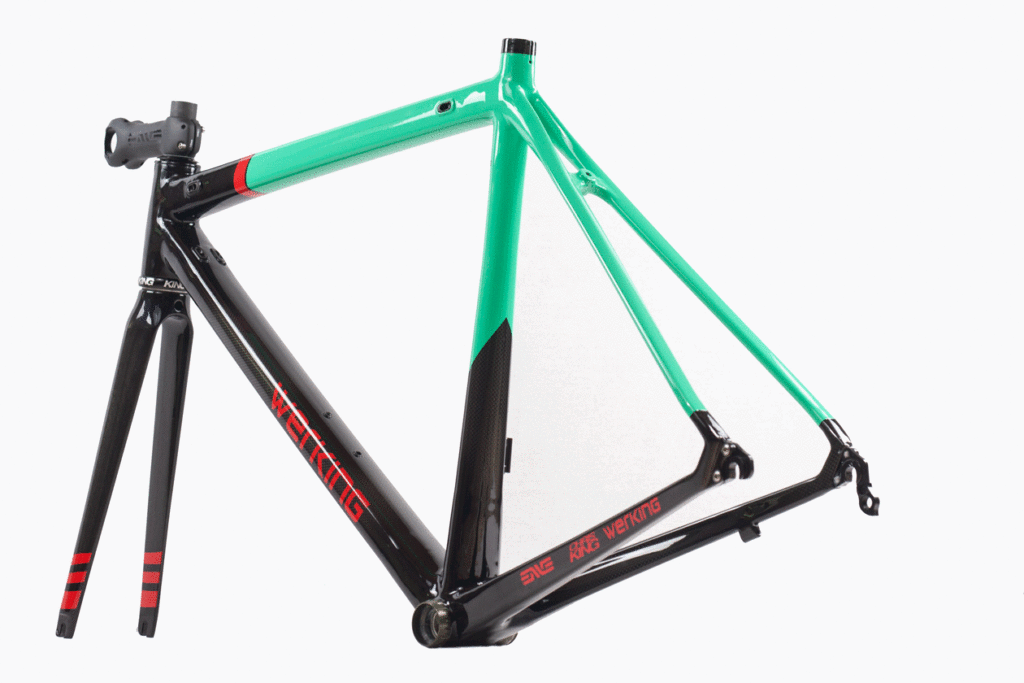 Werking-cycles-Model-S-custom-carbon-frame-30