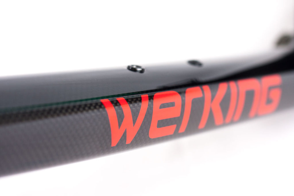 Werking-cycles-Model-S-custom-carbon-frame-7