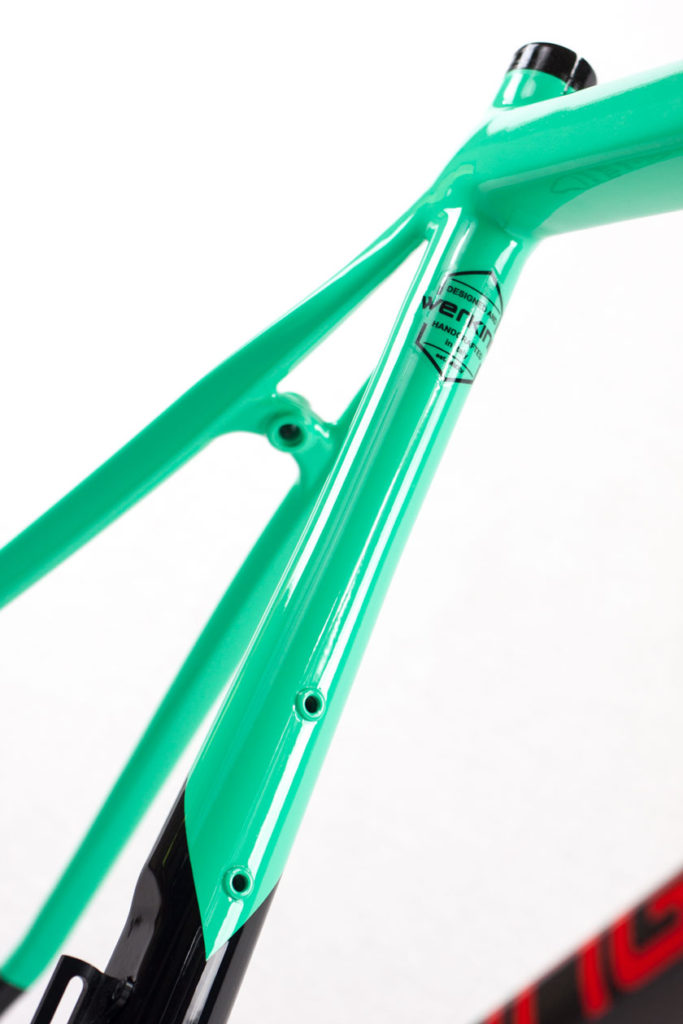Werking-cycles-Model-S-custom-carbon-frame-9