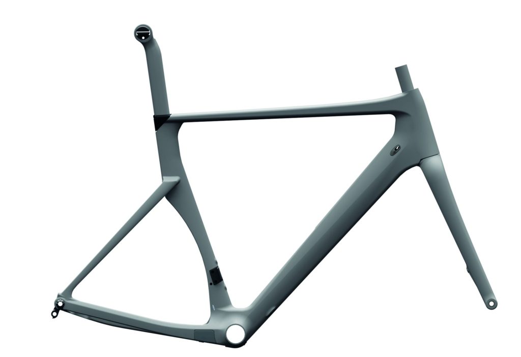 Rose_Xeon_CW-CWX_frame_3D_foto4