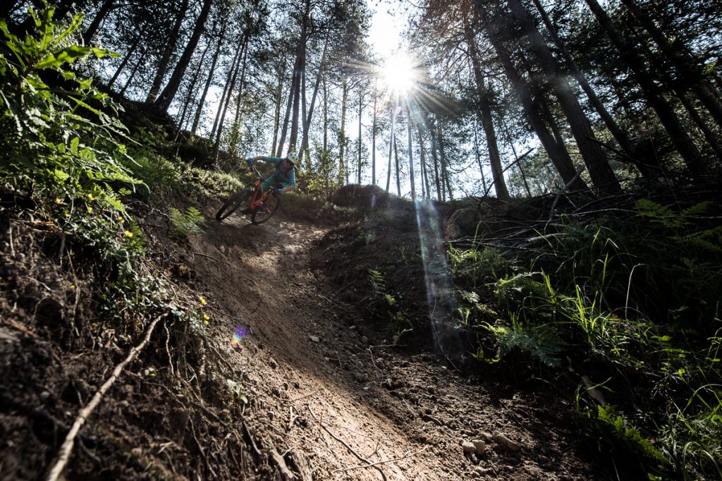 click to enlarge Plan_de_Corones_freeride_foto3