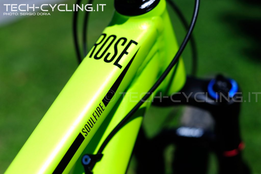 Rose_Soul_Fire_2_foto06