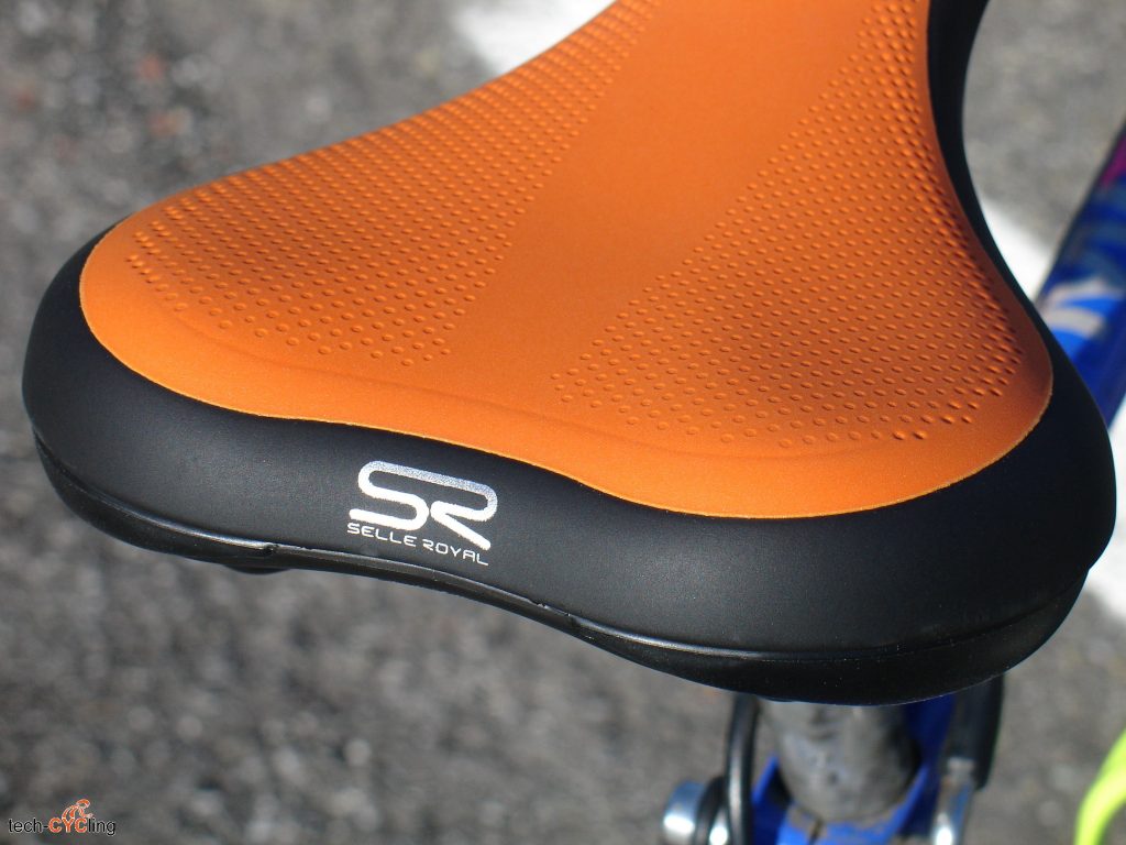 Selle_Royal_Tatoo_foto28