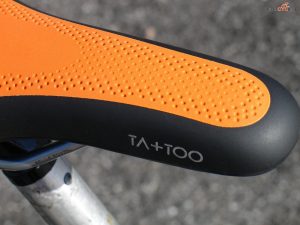 Selle_Royal_Tatoo_foto32