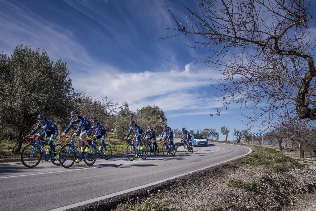 click to enlarge